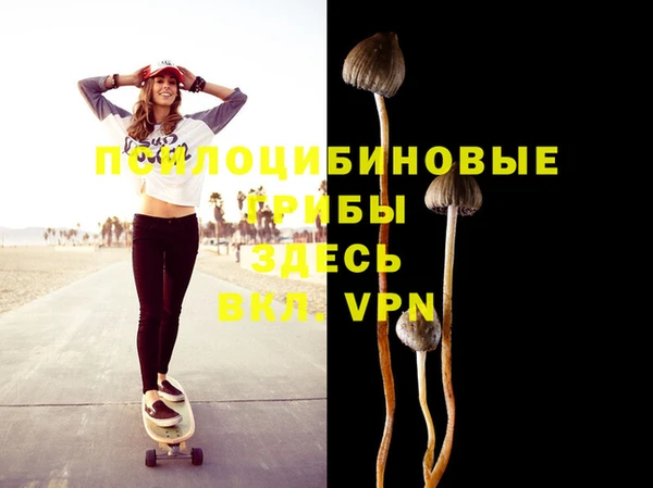 Альфа ПВП Нягань