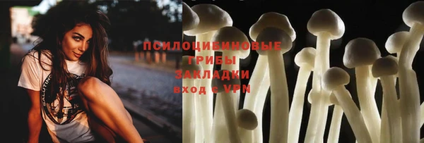Альфа ПВП Нягань