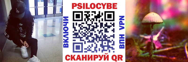 Псилоцибиновые грибы Psilocybine cubensis  сколько стоит  Катайск 
